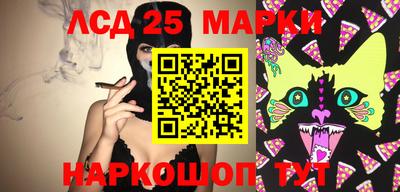 ешки Кингисепп
