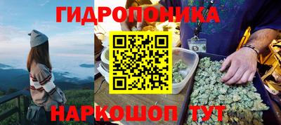 прущие грибы Коммунар