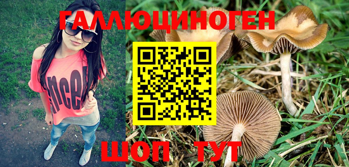 Галлюциногенные грибы Psilocybine cubensis Орехово-Зуево