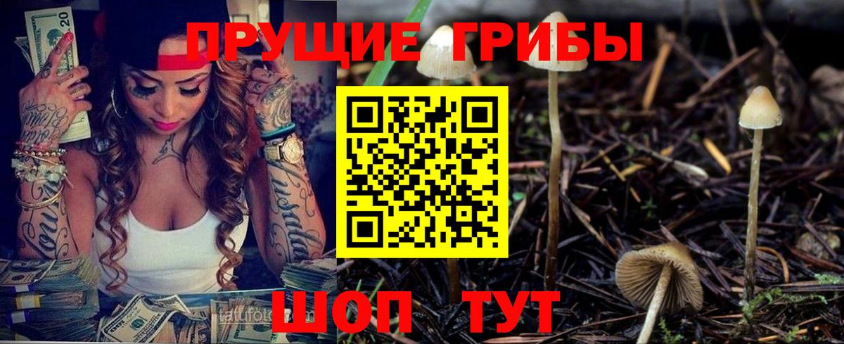 Орехово-Зуево  закладка  Вход с VPN  Галлюциногенные грибы мицелий 
